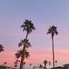 jadenramer